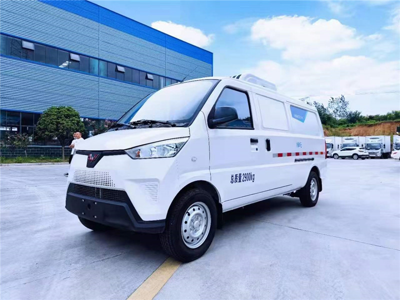 五菱純電動(dòng)新能源冷藏車